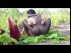 Jungle sex